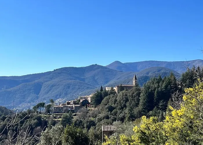 Le Cocon